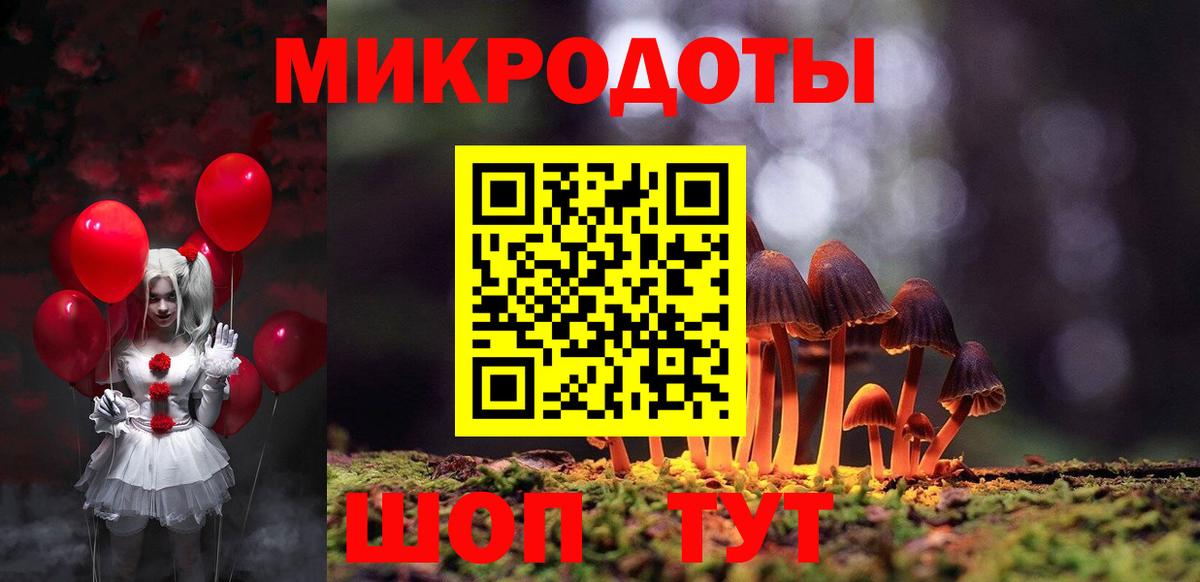 Сунжа  Псилоцибиновые грибы прущие грибы  Вход с VPN 